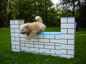 Agility